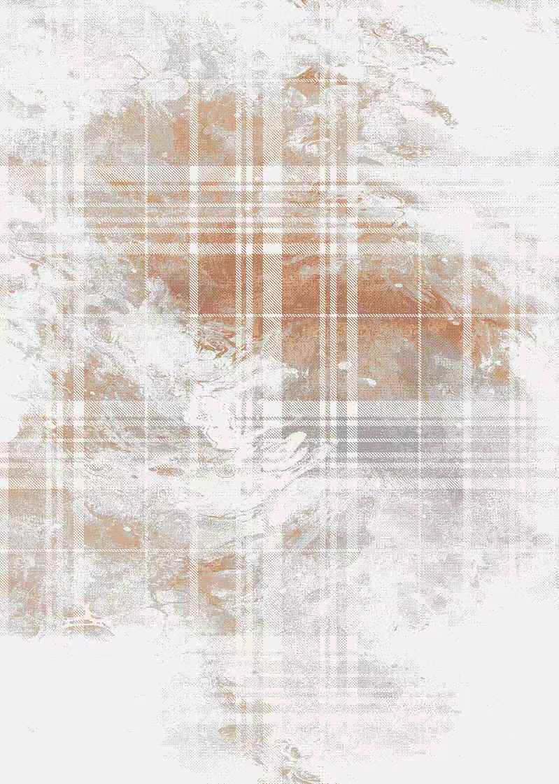 RUGS&CARPETS&RHINE & SERIES/J2752